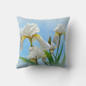 白ひげ虹彩 クッション (裏面)