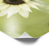 白ひまわりフォトプリント フォトプリント            (角)