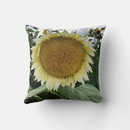 白ひまわり クッション (裏面)