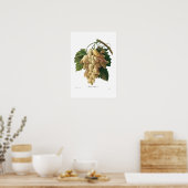 白ぶどう ポスター (キッチン)