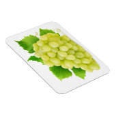 白ぶどう マグネット (右側)