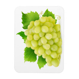 白ぶどう マグネット
