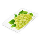 白ぶどう マグネット (左側)