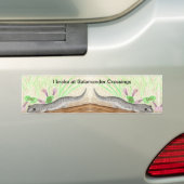 白まだら灰色サンショウウオ バンパーステッカー (車上)