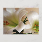 白ゆりテーブル番号カード ポストカード (裏面)