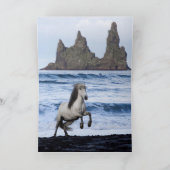 白アイスランドの馬のグリーティングカード シーズンカード (内部)