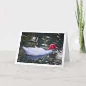 白アヒル カード (正面)