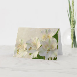 白アルストメリアの花 シーズンカード