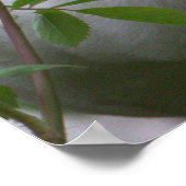 白イビスバードフォトポスター ポスター (角)