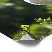 白イビスポスター ポスター (角)