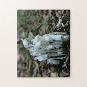 白インディアンパイプ幽霊花野花 ジグソーパズル (縦)