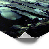 白インディアンパイプ幽霊花野花 ポスター (角)