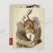 白ウサギ ポストカード (正面/裏面)