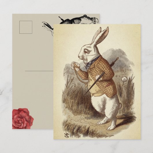 白ウサギ ポストカード (正面/裏面)