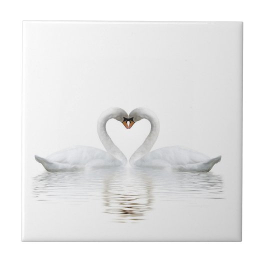 白エレガントい白鳥 タイル (正面)