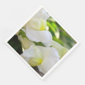 白エレガントで (コーナー)