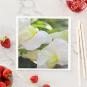 白エレガントで (インサイチュ)