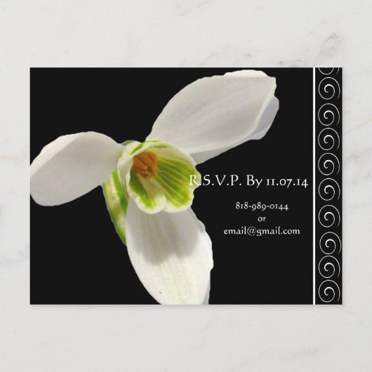 白エレガントとライム結婚式招待状 インビテーションポストカード (裏面)