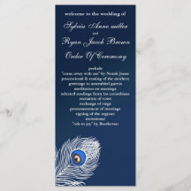 白エレガントと青の孔雀プログラム