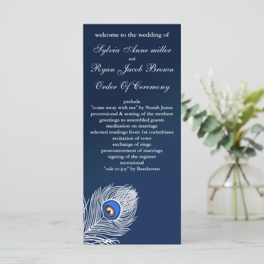 白エレガントと青の孔雀プログラム プログラム (スタンド正面)