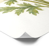 白エレガントアネモンフローラ植物水彩 ポスター (角)