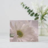 白エレガントデイジー ポストカード (スタンド正面)