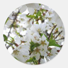 白エレガントフローラ写真 ラウンドシール