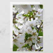 白エレガントフローラ写真 便箋 (正面/裏面)