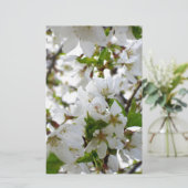 白エレガントフローラ写真 便箋 (スタンド正面)