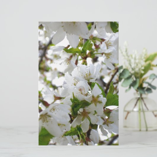 白エレガントフローラ写真 便箋 (スタンド正面)