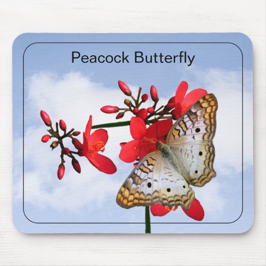 白エレガント孔雀バタフライ写真 マウスパッド (正面)