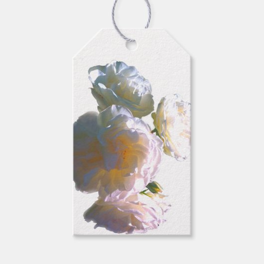 白エレガント桃オレンジ赤面バラ ギフトタグ (正面)