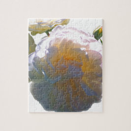 白エレガント桃オレンジ赤面バラ ジグソーパズル