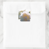 白エレガント桃オレンジ赤面バラ スクエアシール (バッグ)