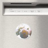 白エレガント桃オレンジ赤面バラ マグネット (インサイチュ (食洗機))