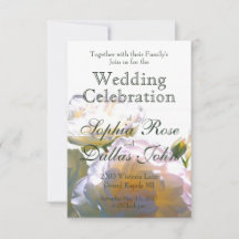 白エレガント桃オレンジ赤面バラ