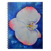 白エレガント桃色のフローラ ノートブック (正面)