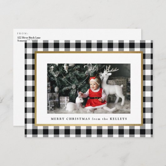 白エレガント水牛のプレイド写真 ポストカード (正面/裏面)