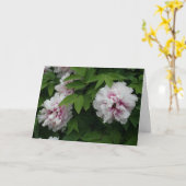 白エレガント牡丹花写真悔やみや弔慰 カード (黄色い花)