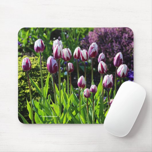 白エレガント紫の炎の旗の勝利チューリップ マウスパッド (マウス)