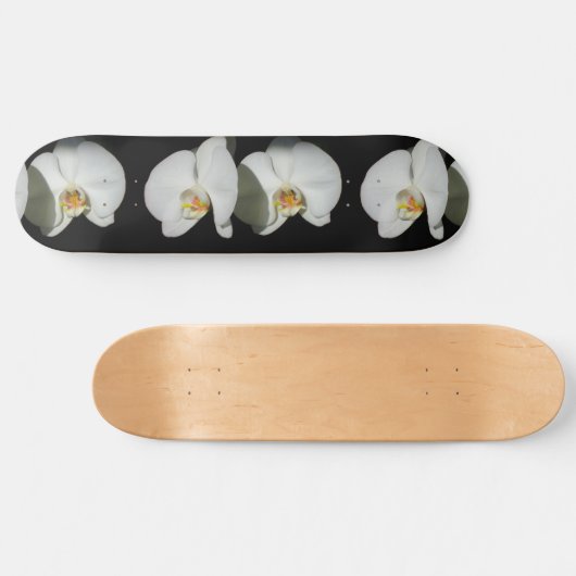 白エレガント蘭の熱帯白い花 スケートボード (横)