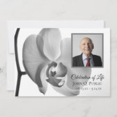 白エレガント蘭の花のお祝い 招待状 (正面)