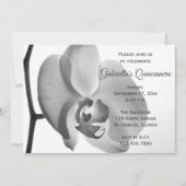 白エレガント蘭キンセアニェラパーティー 招待状 (正面)