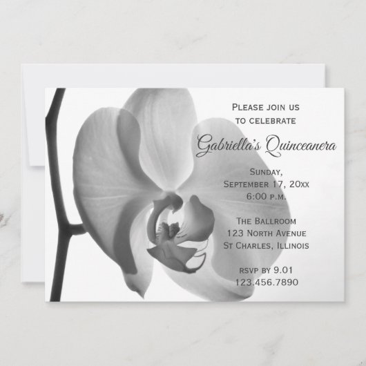 白エレガント蘭キンセアニェラパーティー 招待状 (正面)