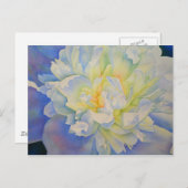 白エレガント黄桃色フローラ水色 ポストカード (正面/裏面)