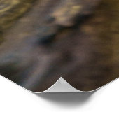 白オオカミの領域 ポスター (角)