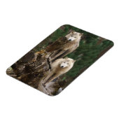 白オオカミの領域 マグネット (左側)