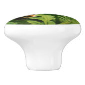 白オダマキ(植物)花とのまわりに セラミックノブ (側面)