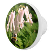 白オダマキ(植物)花とのまわりに セラミックノブ (右)