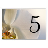 白オーキッドエレガンステーブル番号 テーブルナンバー (裏面)